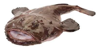 Peste Unditar Calibru 1 Kg+