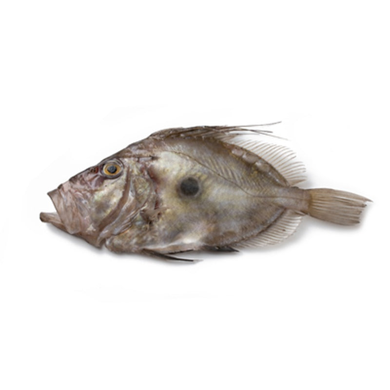 Peste Dulgher pret/kg (cca. 1 Kg+)