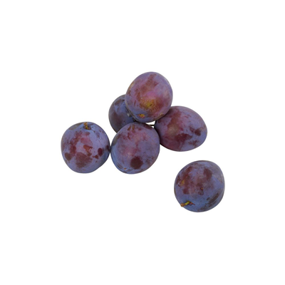 Prune (Prunus domestica)