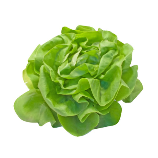 Salata Verde 100g
