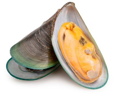 Scoici Green Shell Jumatati Cochilie 1 Kg ❄