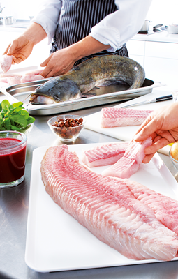 Somn File Delta Dunarii Congelat ❄