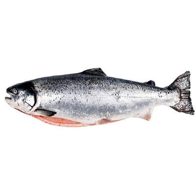 Somon Eviscerat 1 - 2 Kg