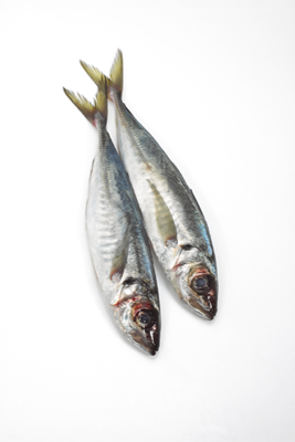 Stavrid 20-40 bucati/ Kg