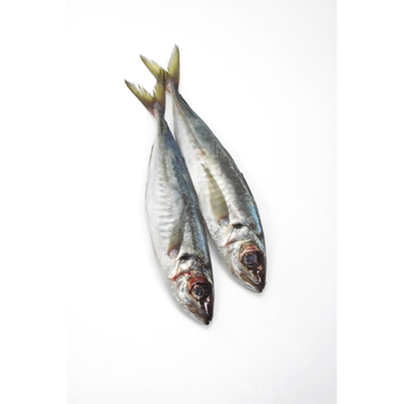 Stavrid 20-40 bucati pret/kg