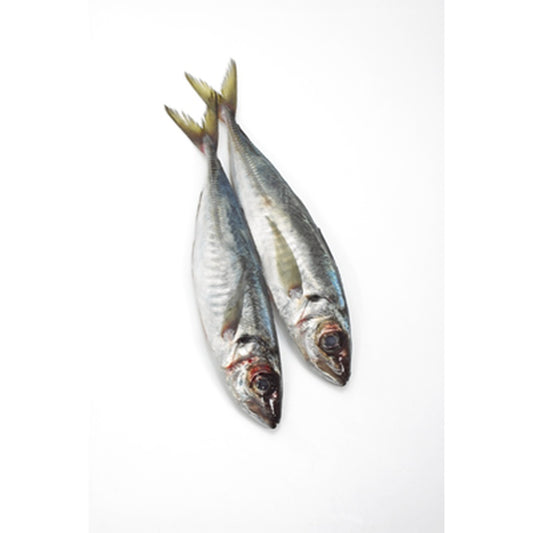 Stavrid 20-40 bucati pret/kg