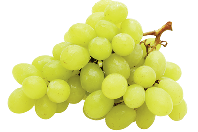 Struguri Albi Grecia