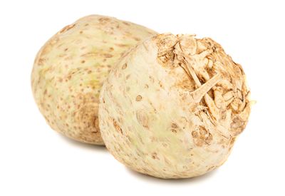 Telina (Apium Graveolens)