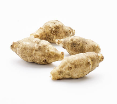 Topinambur (Helianthus tuberosus)