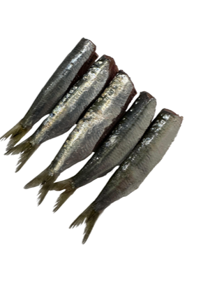 Trunchi de Sardine