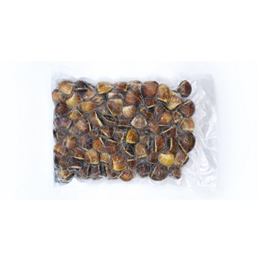 Vongole Brune Fierte 60 - 80 1 Kg ❄
