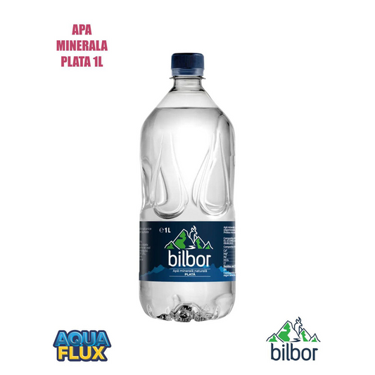 Apa minerala naturala plata Bilbor 1L