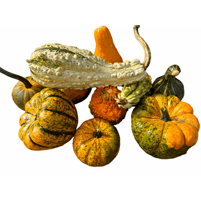 Dovleac pentru Decor