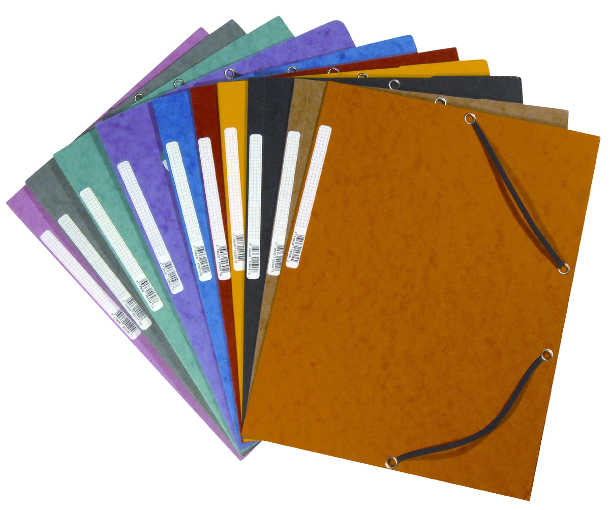 EXACOMPTA Mapa Carton cu Elastic
