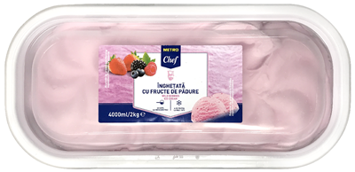 Inghetata Iaurt&Fructe de Padure 2 Kg ❄