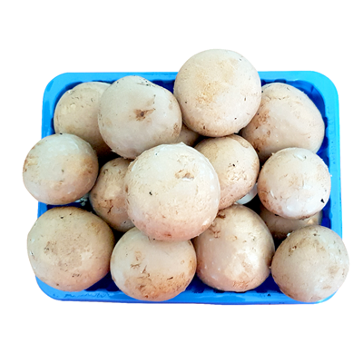 Ciuperci Champignon 500g