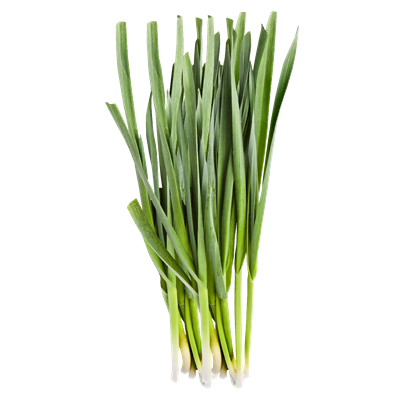 Usturoi Verde 1 legatura