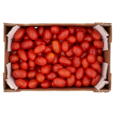 Rosii Cherry Piccadilly