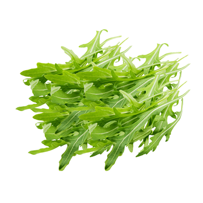 Rucola 500 g