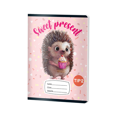 PIGNA Caiet Capsat Tip 2 A5 24 File