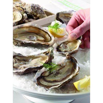 Stridii Gillardeau N2 pret/kg
