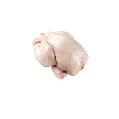 Rotterdam Pui Alb Poussin 500 g ❄