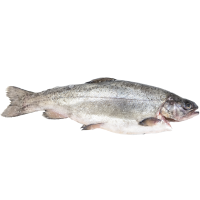 Pastrav Eviscerat 250 - 400 g (kg)