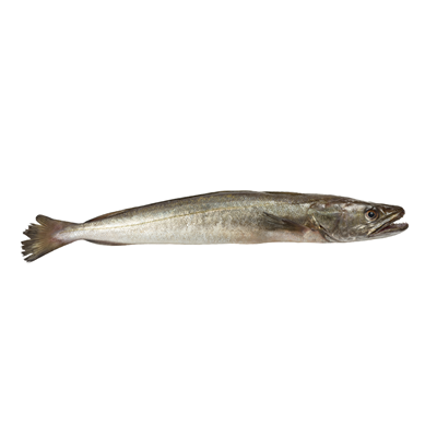 Merluciu Eviscerat pret/kg (cca. 300 g+)