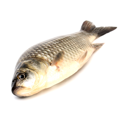 Caras Eviscerat Delta Dunarii Congelat 1 kg