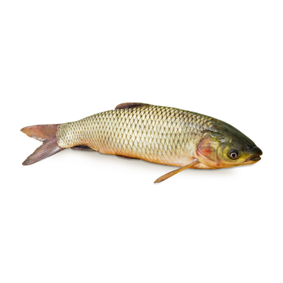 Crap Cosas Calibru 2 Kg+ (kg)