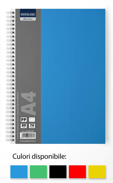 PAPERLAND Caiet Dictando A4 80 file 5 bucati