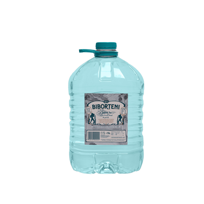 BIBORTENI Apa Plata 5 L - WALTI