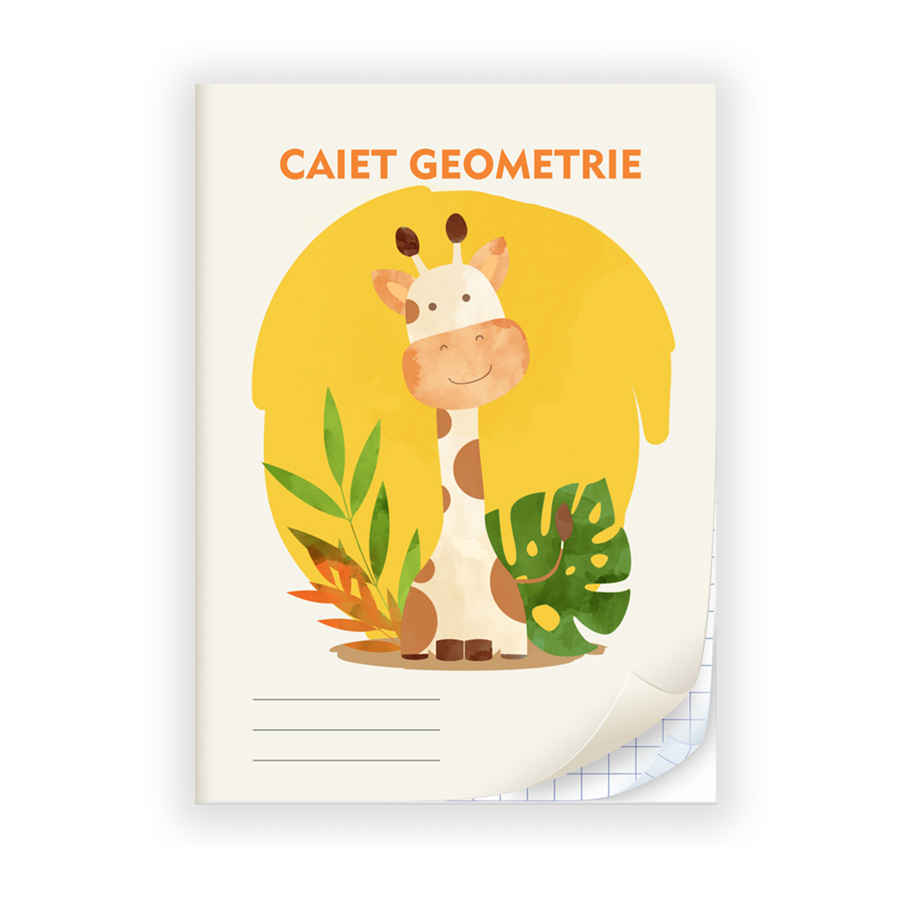 ARHI DESIGN Caiet Geometrie A5 24 file