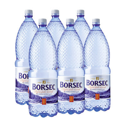 BORSEC Apa Minerala Plata SGR  2 L - WALTI
