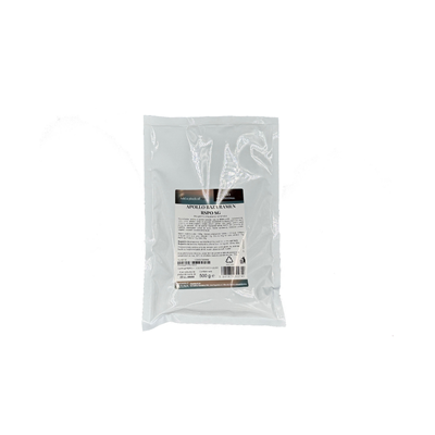Apollo PROFESSIONAL Baza Ramen 500 g - WALTI