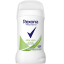Rexona Deodorant Stick Aloe Vera 50 ml - WALTI