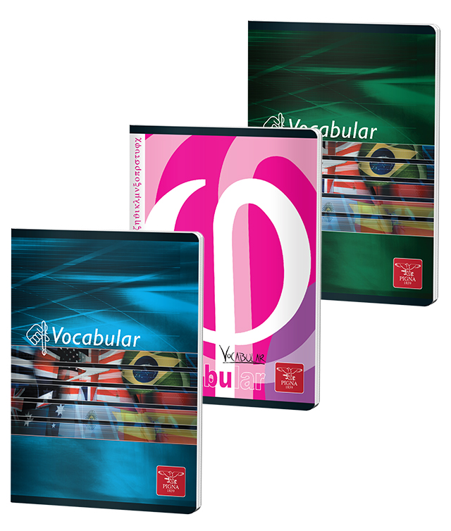 PIGNA Vocabular 5 bucati