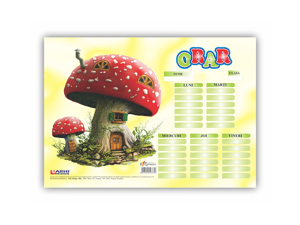 ARHI DESIGN Orar Scolar