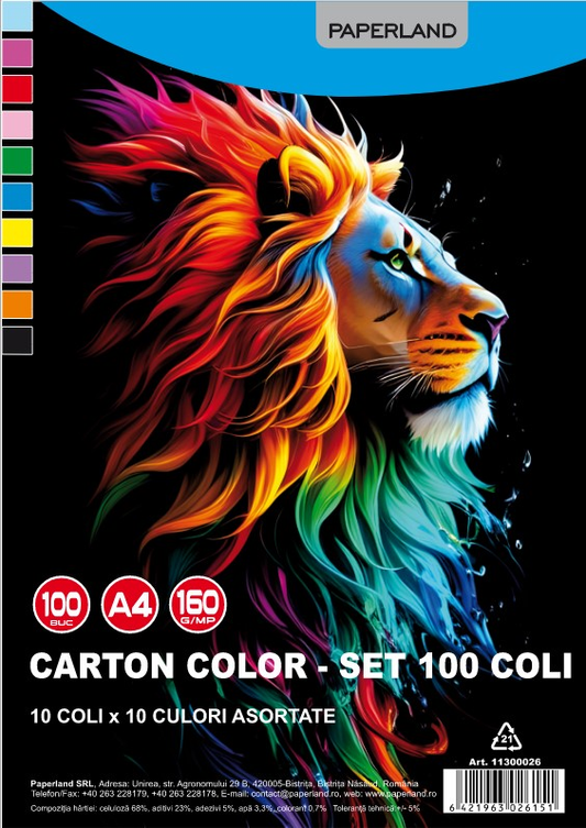 PAPERLAND Set 100 Coli Carton Colorat 10 Culori
